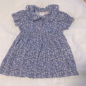 Zara 18-24M collared summer dress
